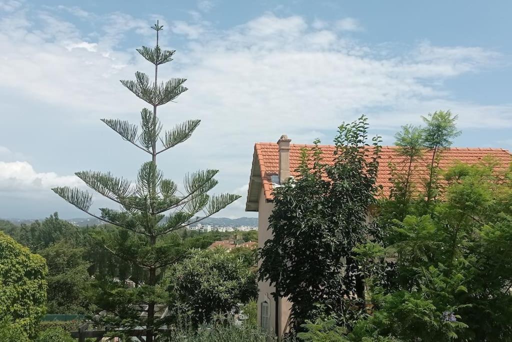 Claelle Appartment - 200M Beach Mandelieu Dış mekan fotoğraf